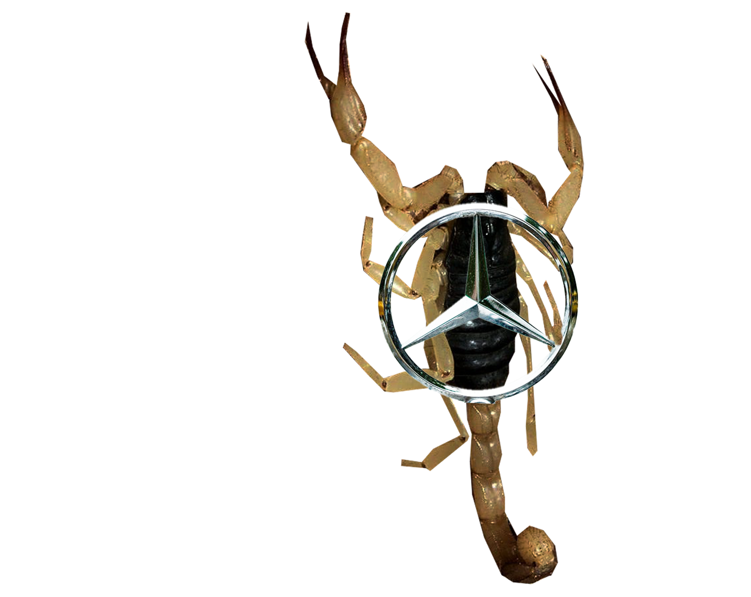 Floating Image 16
